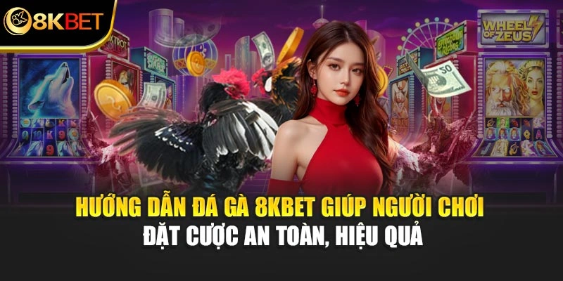Hướng dẫn đá gà 8KBET giúp người chơi đặt cược an toàn, hiệu quả